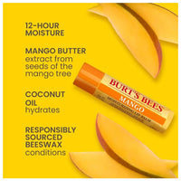 Burt's Bees Mango Lip Balm